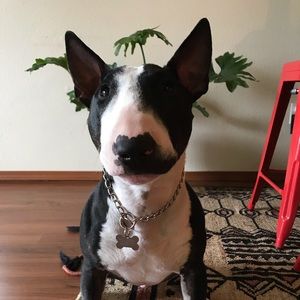 Meet your Posher, Jesyca